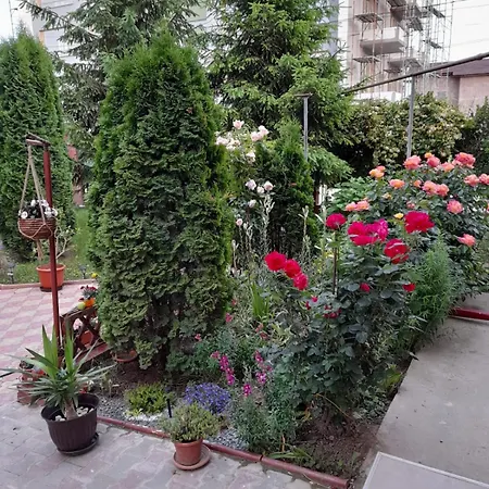 Aliss Năvodari